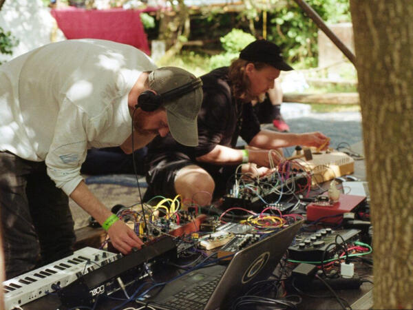 Thistle at Transforma